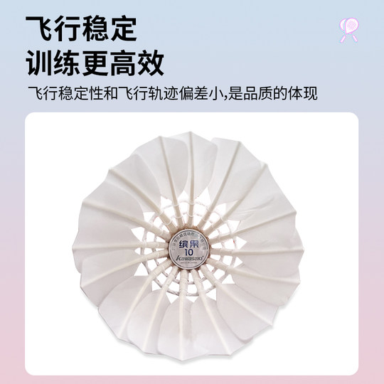 Bingo nº 10 bádminton