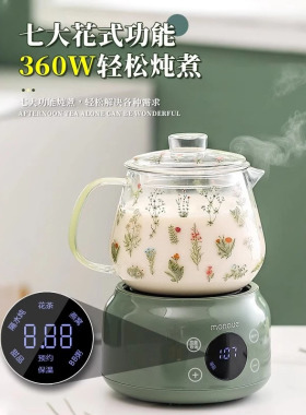 德国进口迷你小型办公家用养生壶