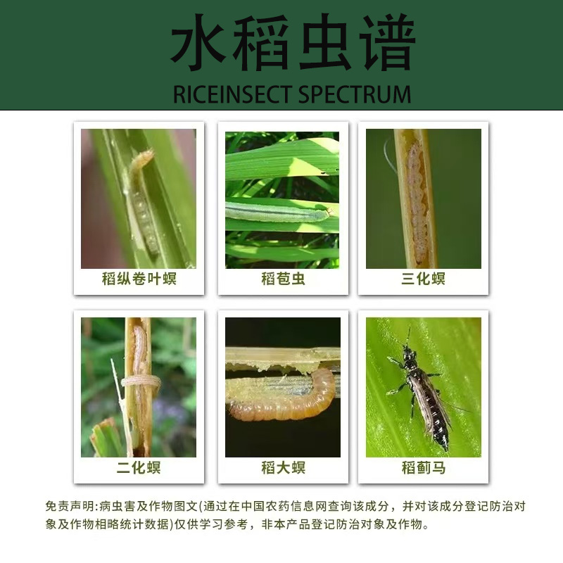 85%氯虫苯甲酰胺杀虫单水稻稻纵卷叶螟蔬菜钻心虫杀虫剂农药正品 - 图2