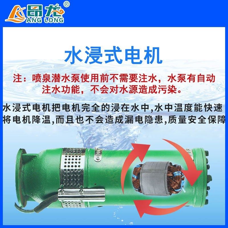 热销高扬程水景循环水泵 音乐喷泉潜水景观泵 可以频繁启停水浸式,淘宝优惠券,粉丝福利购,淘宝优惠卷