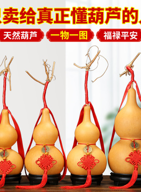 天然大葫芦挂件一物一图孤品葫芦摆件饰品家居带龙头客厅卧室装饰