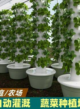 垂直蔬水培塔家庭无土麦太保栽种培菜设备套阳台植箱花架种菜花垒