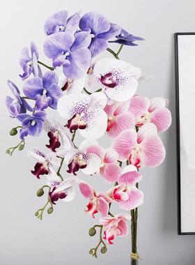 新款直销轻奢ins蝴蝶兰仿真花 假花摆设花艺餐桌摆花兰花 装饰仿