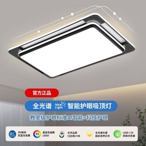 现代简约客厅主灯2025年新款黑白大H气长方形大厅吸顶灯饰卧室灯 - 图3