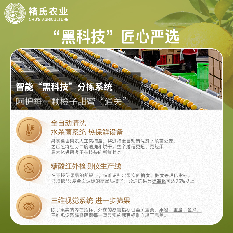 正宗云南冰糖橙 褚橙庄园 整箱新鲜水果当季送礼褚时健珍品礼盒