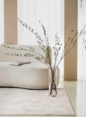 直销新款直筒玻璃花瓶 马醉木雪柳水培富贵竹花器 透明落地摆件in