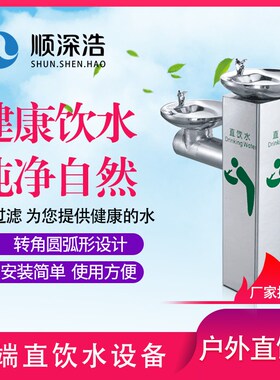 商用304不锈钢户外p净化直饮水机公共场所公园室外洗手台小区景区