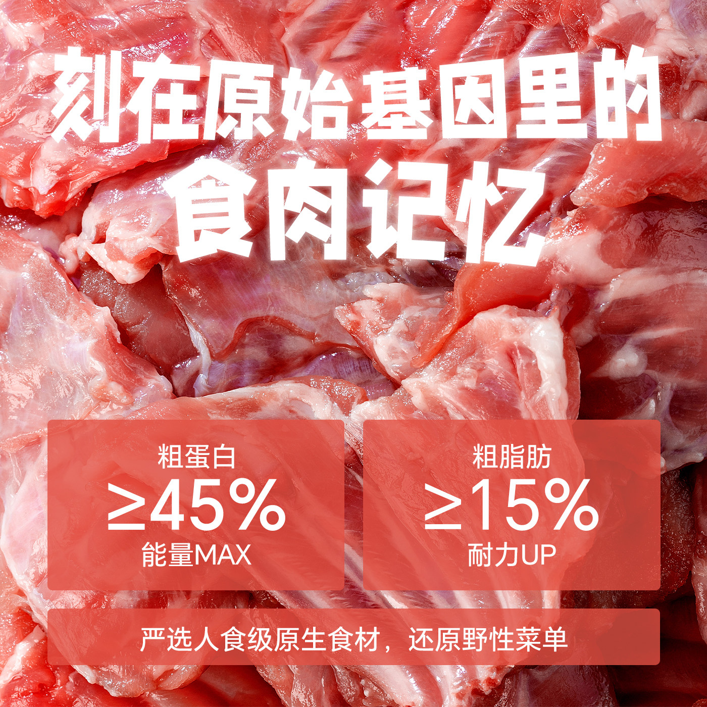 宠胖子狗狗猫咪通用冻干零食兔排磨牙洁齿发腮改善口臭训练奖励,淘宝优惠券,粉丝福利购,淘宝优惠卷