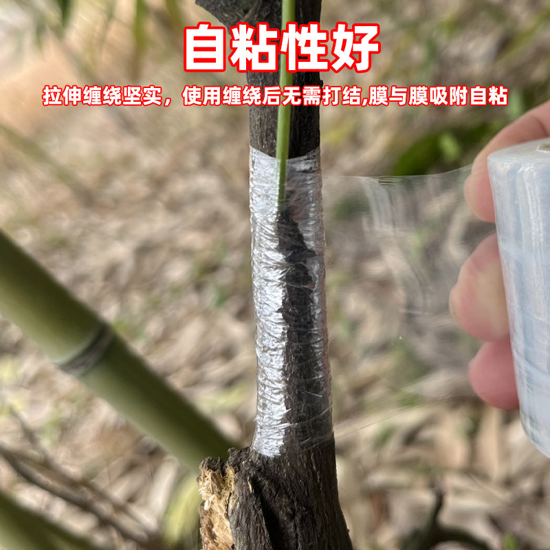 嫁接膜专用膜PE无需打结薄膜自粘式园林果树嫁接胶带包扎带缠绕膜,淘宝优惠券,粉丝福利购,淘宝优惠卷