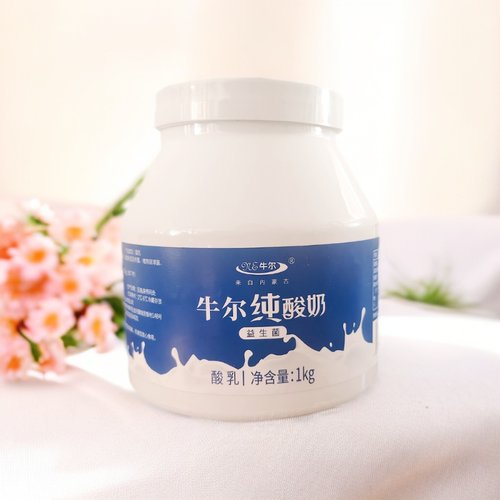内蒙古牛尔无蔗糖原味益生菌纯酸奶1000克健身代餐低温 - 图0