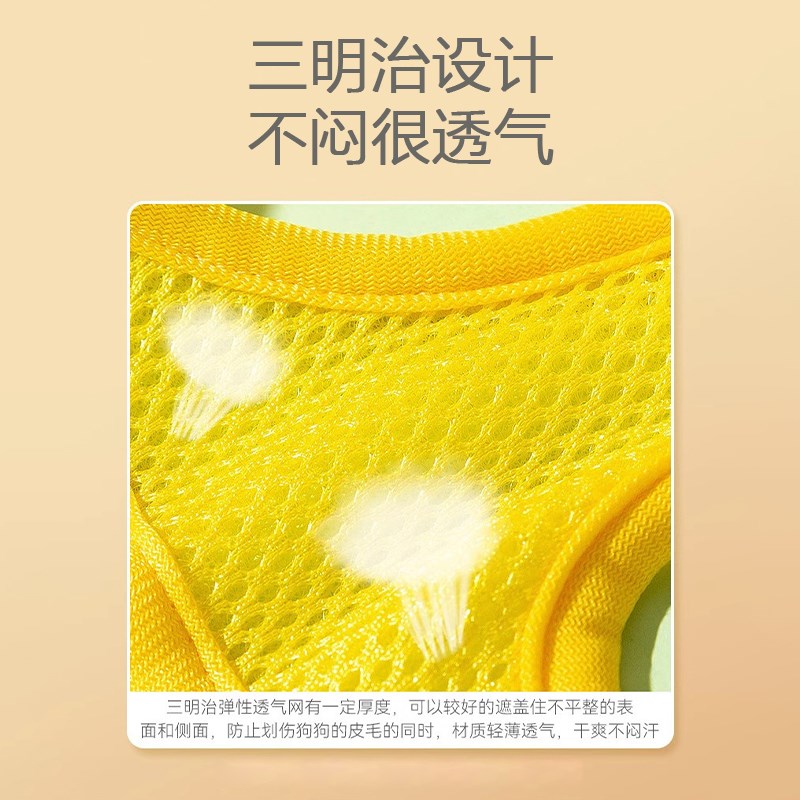 猫咪牵引绳夏季网面透气小猫狗狗胸背带防挣脱遛猫绳子外出专用链 - 图2