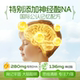 Ohiho ນິວຊີແລນ Good Memory Algae Oil DHA Nervonic Acid