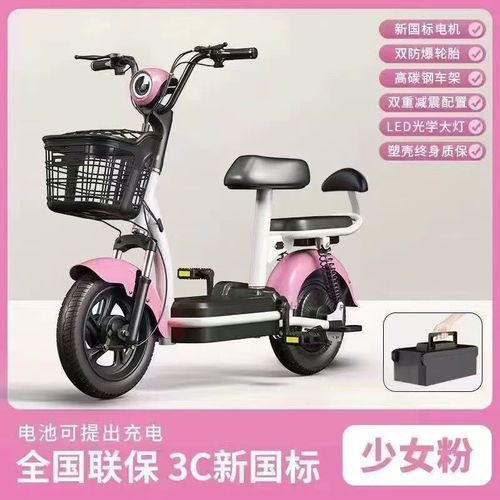 新国标电动车成人代步男女小型女生电动自行车超长续航48V锂电池 - 图2