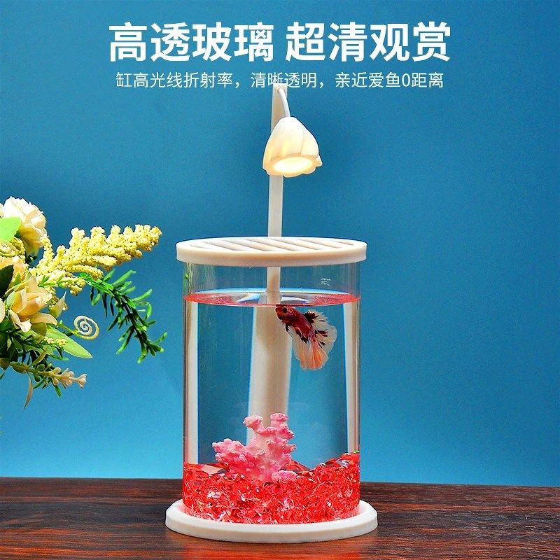 超白玻璃斗鱼缸办公室客厅小型网红创意K造景桌面生态高级迷你带,淘宝优惠券,粉丝福利购,淘宝优惠卷