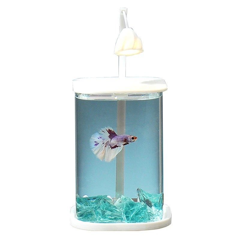 超白玻璃斗鱼缸办公室客厅小型网红创意K造景桌面生态高级迷你带,淘宝优惠券,粉丝福利购,淘宝优惠卷