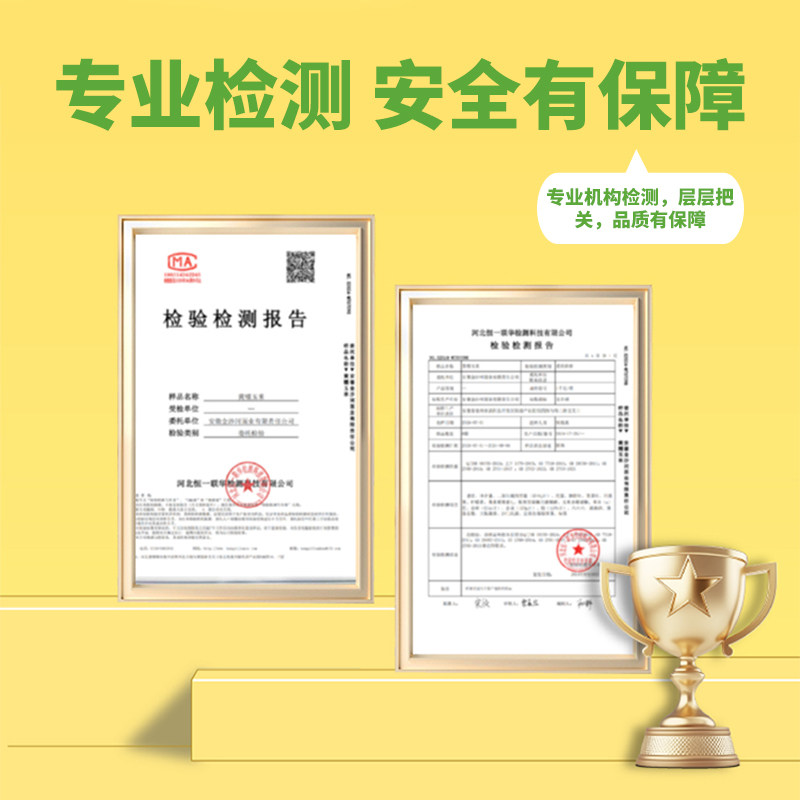 一定要带袋煮东北黄糯玉米软糯香甜黏玉米棒吉林轻食主食粗粮早餐
