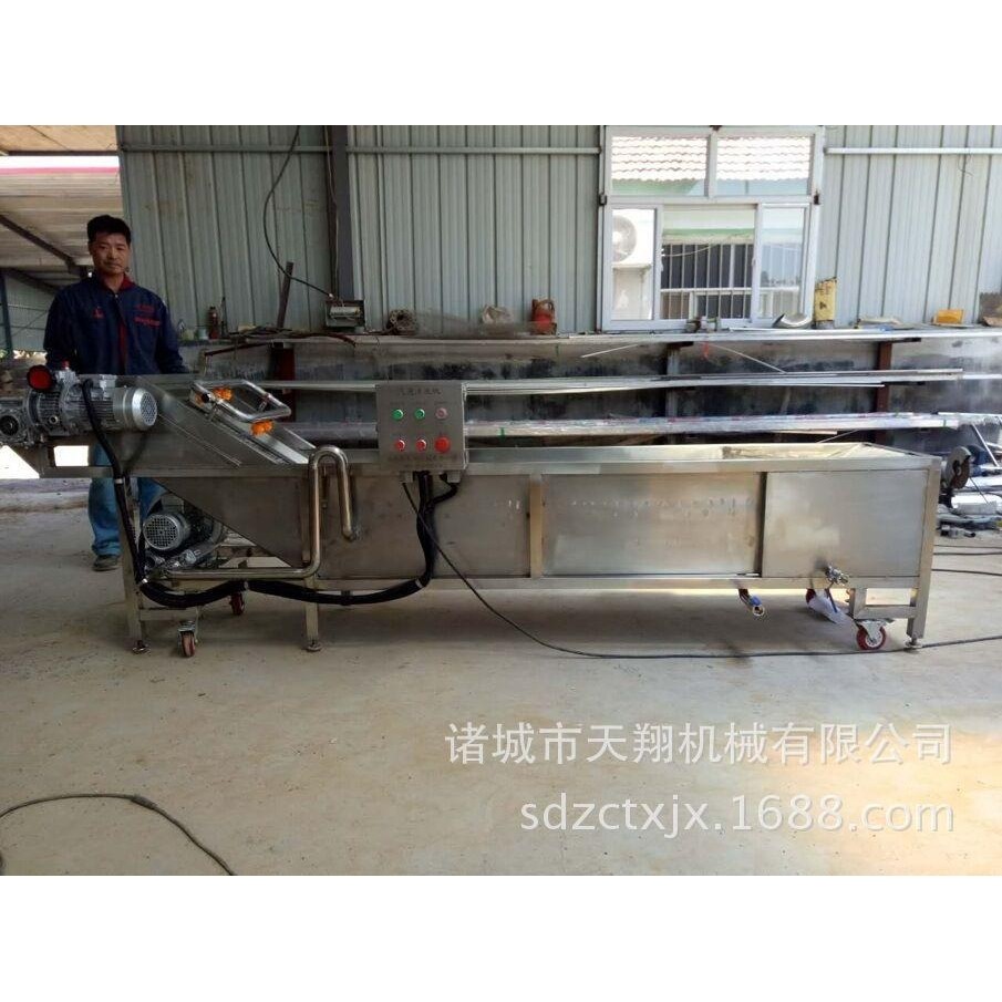 山竹洗果机 西蓝花清洗机 果蔬清洗设备 蔬菜清洗加工成套设备,淘宝优惠券,粉丝福利购,淘宝优惠卷