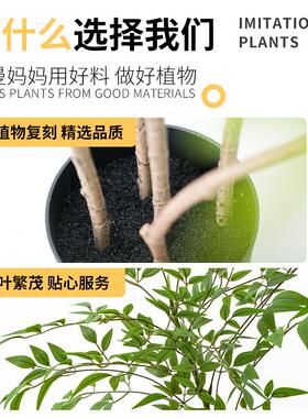 罗曼妈妈2025新款高端轻奢彷真绿色植物南天竹盆栽客厅绿植装饰假