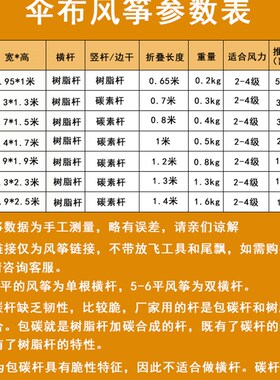 王侉子风筝大型三角伞布碳杆成人微风风筝544软伞布易飞新款风筝