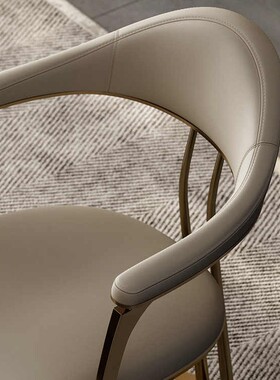 JUYI意式轻奢圈椅主人椅设计师椅子办公室书房主人位不锈钢茶桌椅