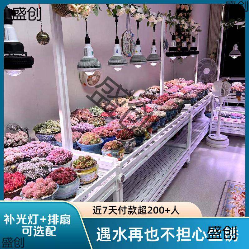 花架多层水日落地台排37241风扇补光灯养多肉阳浇式块根植物不锈,淘宝优惠券,粉丝福利购,淘宝优惠卷