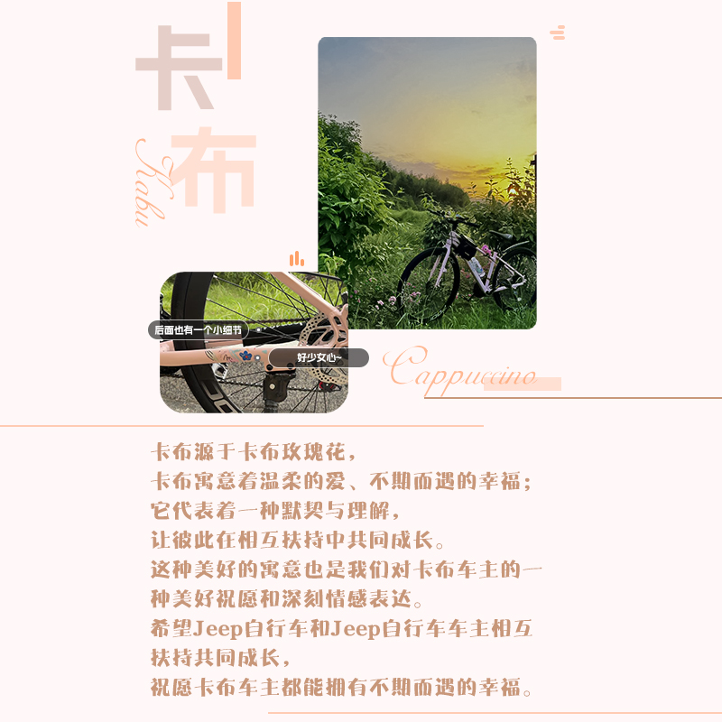 Jeep吉普公路自行车低跨度女式平把变速成人男女学生代步车-卡布