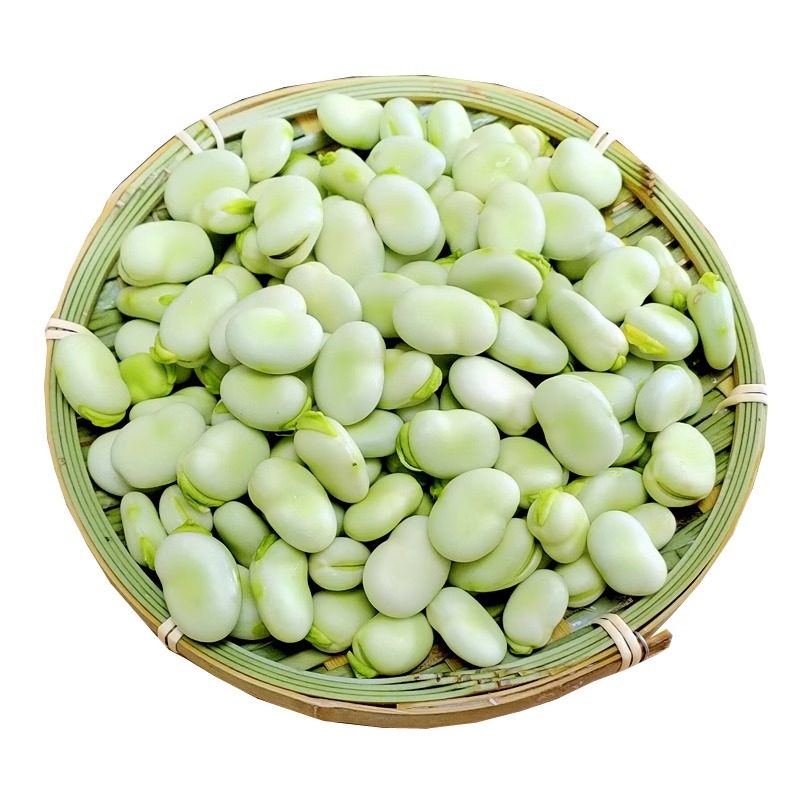 顺丰可选 云南高山现摘蚕豆老品种新鲜带壳蔬菜胡兰花青豆9斤包邮,淘宝优惠券,粉丝福利购,淘宝优惠卷