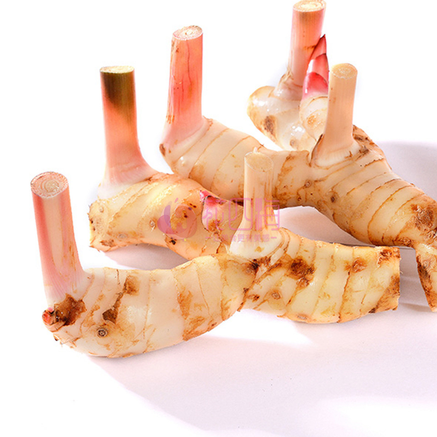 新鲜泰国南姜 白皮南姜 高良姜 冬阴功香料 500g,淘宝优惠券,粉丝福利购,淘宝优惠卷