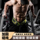 Weight Belt Rhino Squat Pull-Up Waist Support