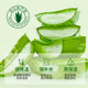 Curacao Aloe Vera Gel
