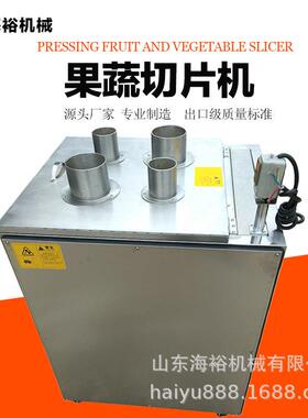 水果商用菠萝切片果蔬切片机不锈钢土豆山切片设备香蕉片切片机