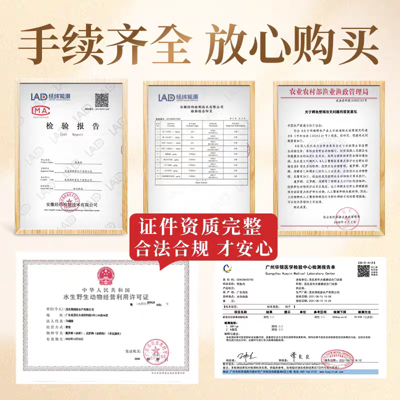 500克精品鳄鱼肉干 正宗茂名特产新鲜鳄鱼肉生晒煲汤肉干