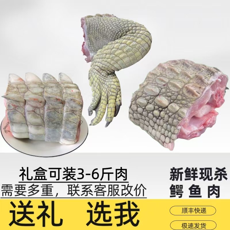 一整根5斤鳄鱼腿 礼盒装 鳄鱼肉 新鲜现杀人工养殖鳄鱼 鳄鱼腿