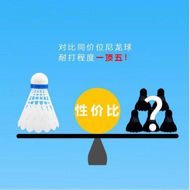 仿真鹅毛尼龙羽毛球耐打防风比赛10只装套装正品不易学生训练室外,淘宝优惠券,粉丝福利购,淘宝优惠卷