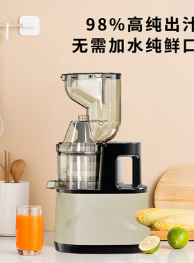 渣汁分离榨汁机大口径榨汁机