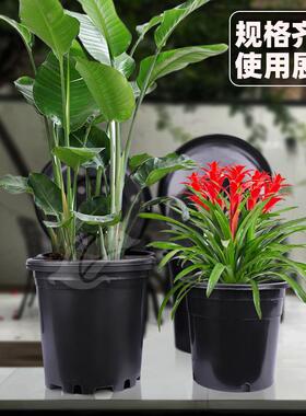 塑料花盆黑色桶基地种植多肉盆育苗盆加仑盆家用大AB型圆反边花盆