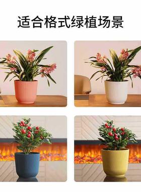 无孔花盆装饰盆外套加仑盆大口径室内绿植塑料蝴蝶兰绿萝加厚简约