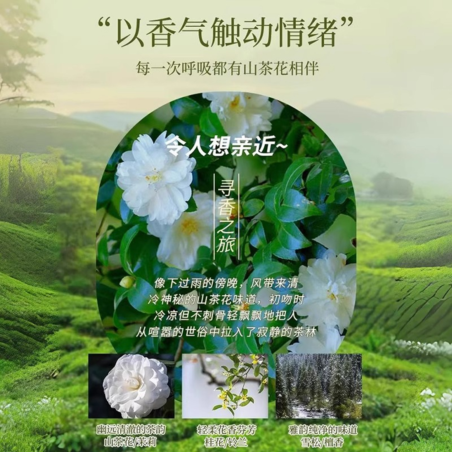 氨基酸山茶花海盐搓泥宝啫喱去角质死皮海盐搓澡泥深层清洁H