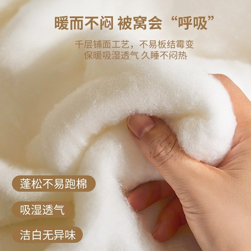 被子棉被被芯四季通用棉花被春秋被棉絮被褥纯棉200*230cm双人被,淘宝优惠券,粉丝福利购,淘宝优惠卷
