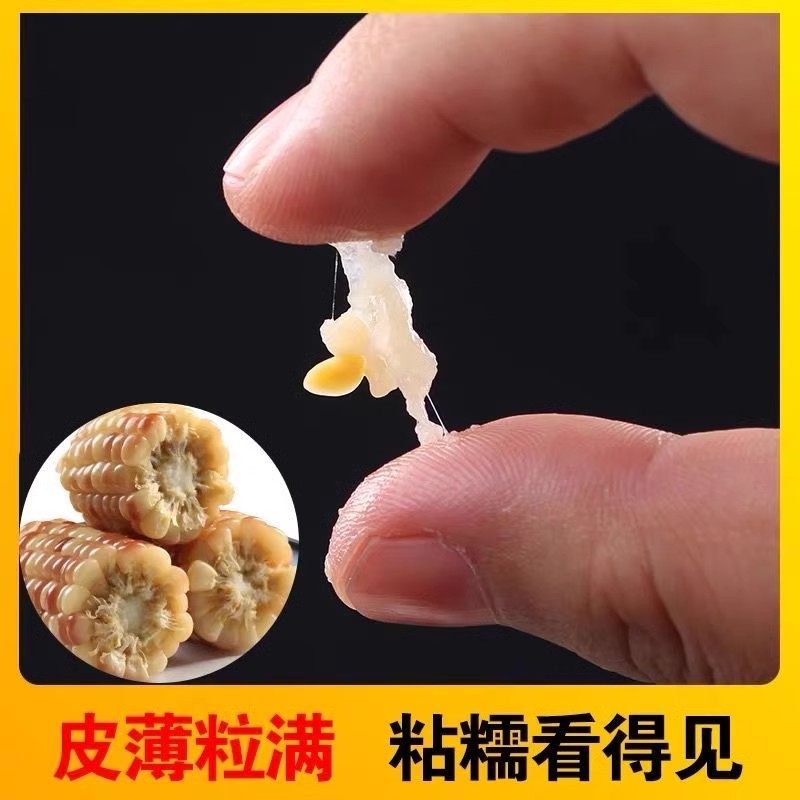 东北花糯玉米棒10棒花苞米现摘真空包装新货新鲜甜玉米粒粘非即食,淘宝优惠券,粉丝福利购,淘宝优惠卷