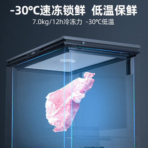 星星冰柜家用205/245/305升小型减霜薄门商用冰箱柜冷藏冷冻冷柜 - 图0