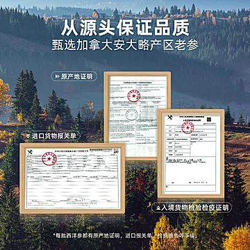 任十问加拿大进口西洋参切片60g5年参龄[7元优惠券]-寻折猪