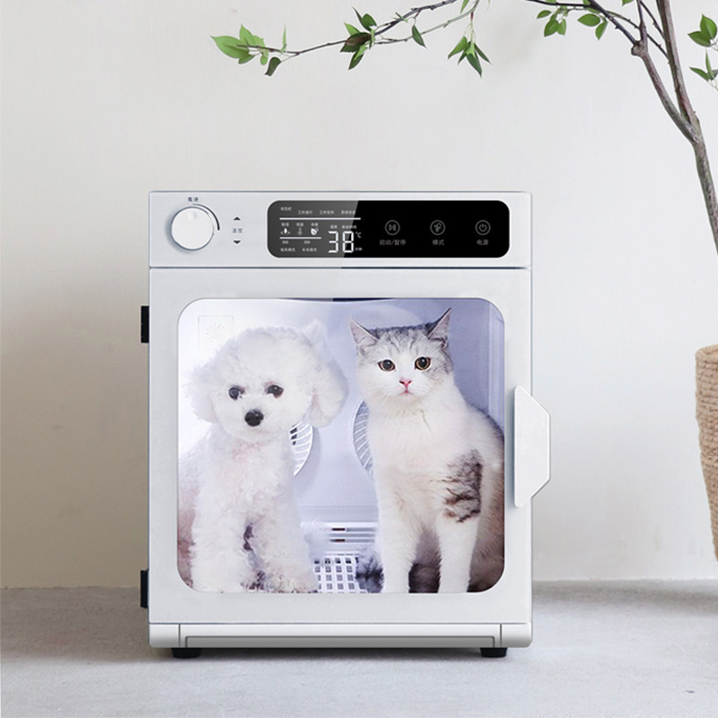 Qingdu fast pet drying box for puppies and cats to bathe, blow dry, remove water, hair, disinfect and odor box