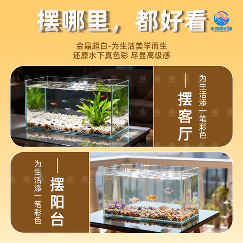2025新款超白玻璃缸长方形金鱼缸小型客厅家用桌面生态乌龟缸草缸 - 图3