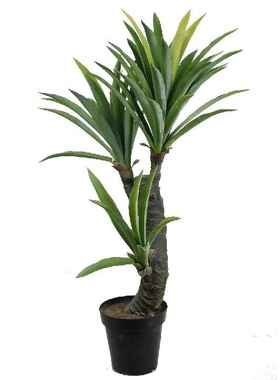仿真绿植盆景剑麻大叶剑兰沙漠植物热带橱窗造景装饰假植物现货