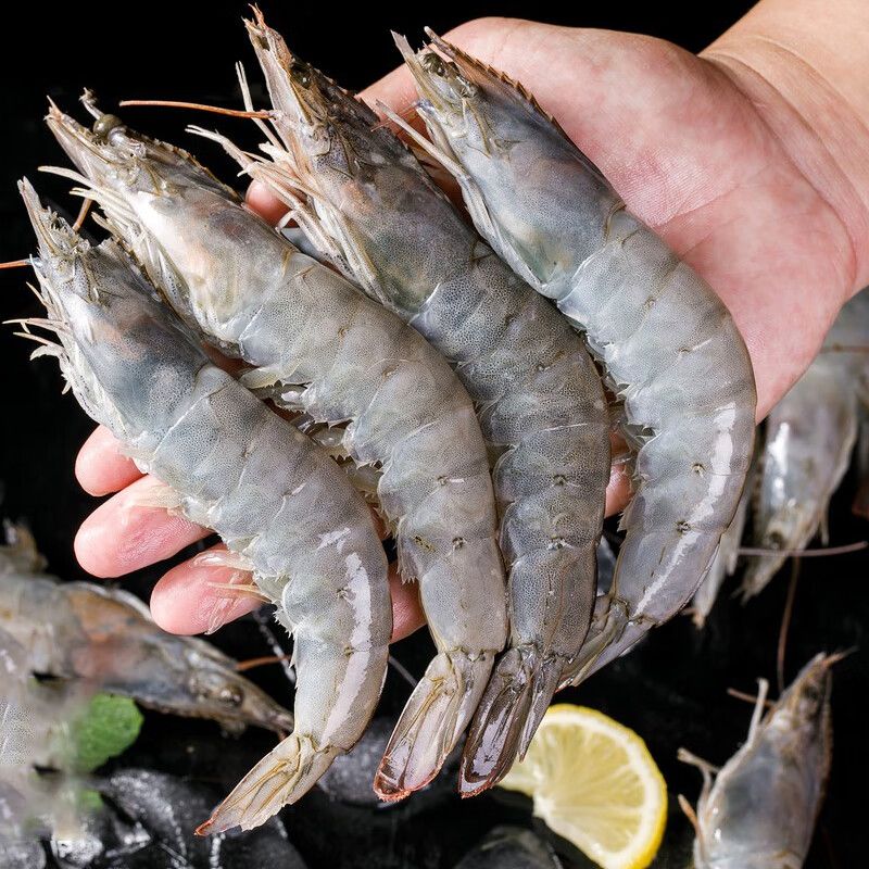 【顺丰空运】海南深海大虾特大对虾鲜活新鲜海鲜野生明虾整箱礼盒