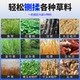 Shigu hay chopper cattle and sheep dry and wet wet grass and silk kneading machine horizontal grass and silk kneading machine crushing machine