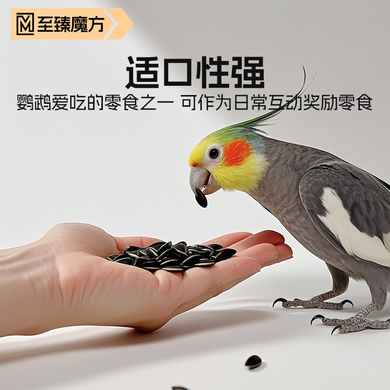 鹦鹉零食油葵黑瓜子玄凤牡丹和尚小太阳虎皮吸蜜驯鸟训练奖励零食,淘宝优惠券,粉丝福利购,淘宝优惠卷