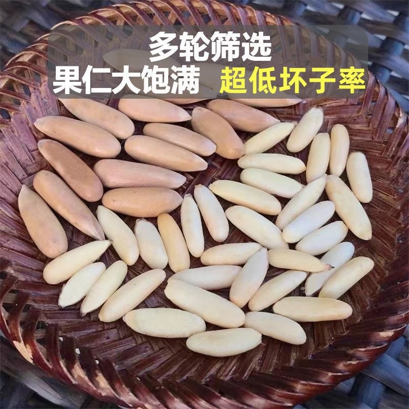 S+超特大颗粒25新货手剥松子阿富汗松子原香巴西松子孕妇坚果松子,淘宝优惠券,粉丝福利购,淘宝优惠卷