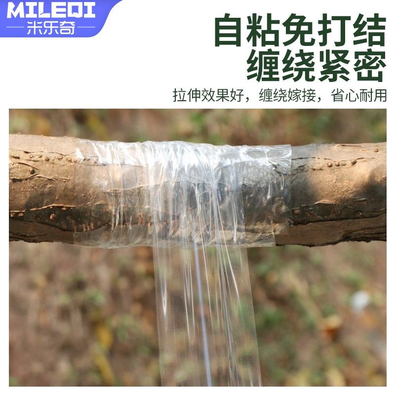 果树嫁接胶带农用pe薄膜透明缠绕免打结抗拉伸嫁接膜自粘式包扎带,淘宝优惠券,粉丝福利购,淘宝优惠卷